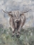 Picture of DRIPPY COW 1