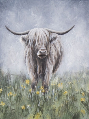 Picture of HIGHLAND COW 2