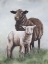 Picture of MOM AND BABE