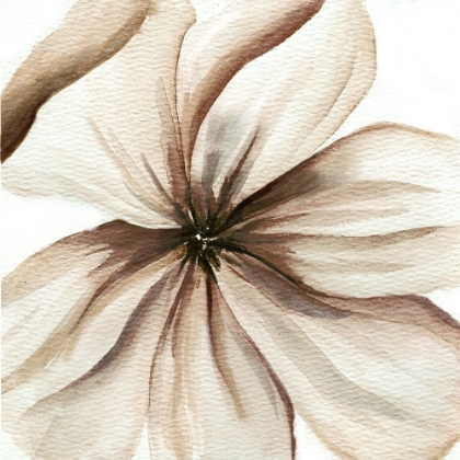 Picture of WATERCOLOR CLOSEUP 3