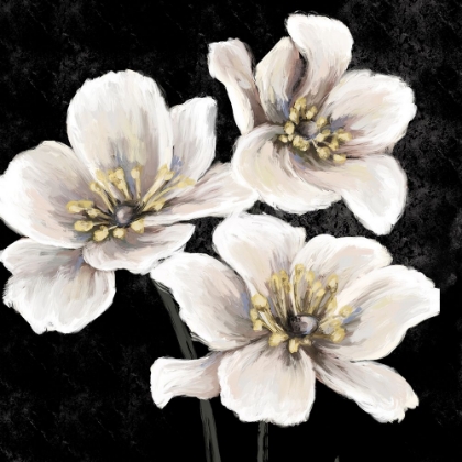 Picture of DRAMATIC FLORALS 1