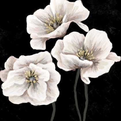 Picture of DRAMATIC FLOWERS 3