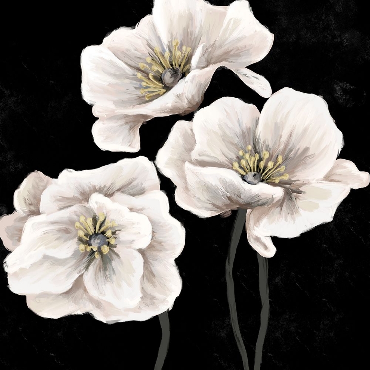 Picture of DRAMATIC FLOWERS 3