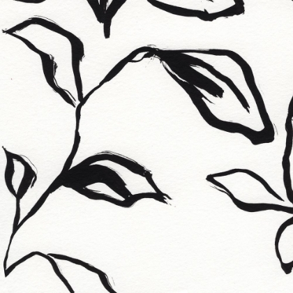 Picture of LEAVES
