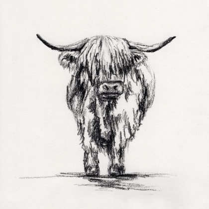 Picture of HIGHLAND COW IN CHARCOAL 2
