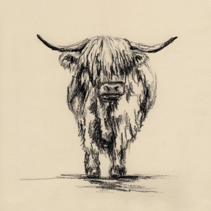 Picture of HIGHLAND COW IN CHARCOAL 2 V2