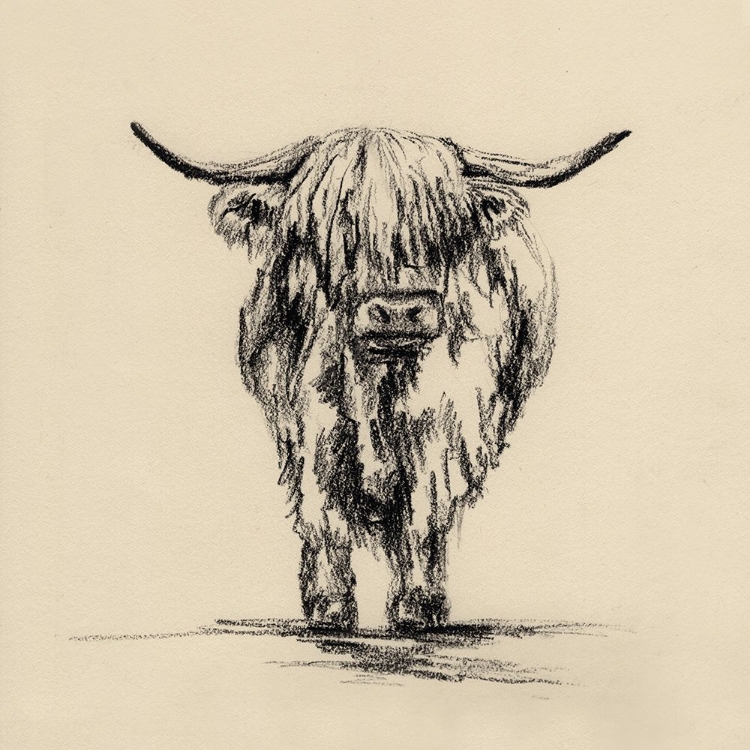 Picture of HIGHLAND COW IN CHARCOAL 2 V2