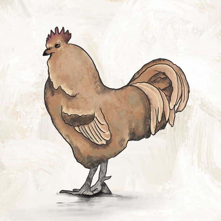 Picture of ROOSTER