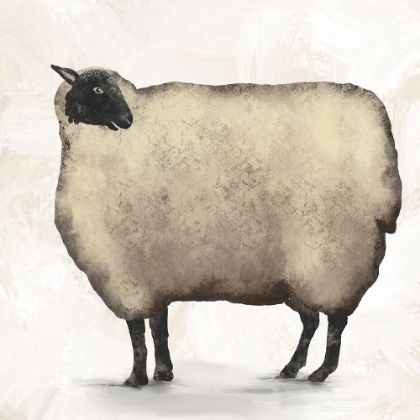 Picture of SHEEP