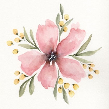 Picture of HIBISCUS 1