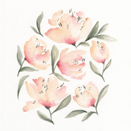 Picture of PEONIES 1