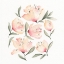 Picture of PEONIES 1