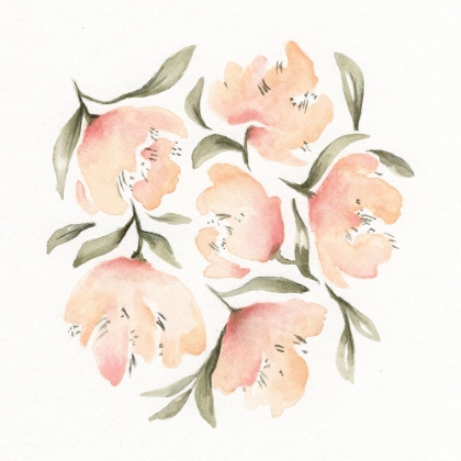 Picture of PEONIES 2