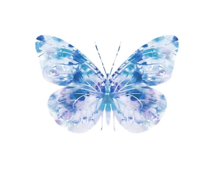 Picture of BLUE BUTTERFLY 1