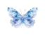 Picture of BLUE BUTTERFLY 1