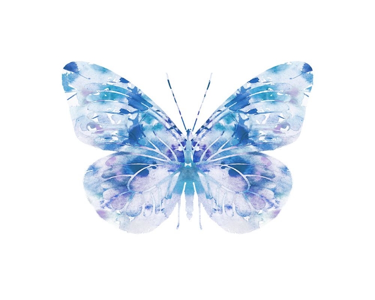 Picture of BLUE BUTTERFLY 1