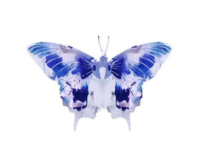 Picture of SATURATED BUTTERFLY 3