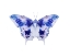 Picture of SATURATED BUTTERFLY 3