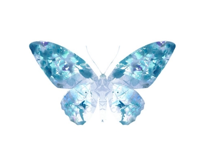 Picture of TEAL BUTTERFLY 4