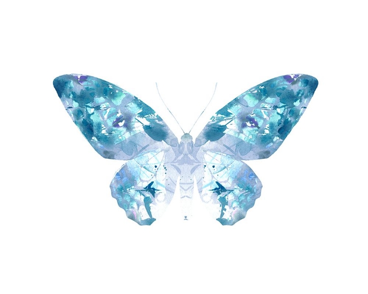 Picture of TEAL BUTTERFLY 4