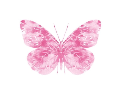 Picture of PINK BUTTERFLY