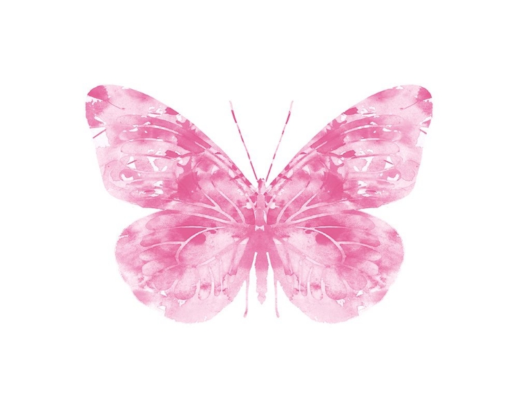 Picture of PINK BUTTERFLY