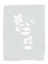 Picture of BLUE FLORAL 2