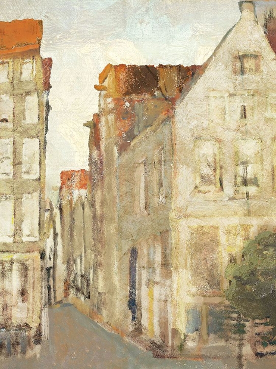 Picture of TERRA COTTA ROOFS 2