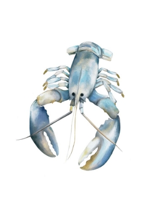 Picture of BLUE LOBSTER