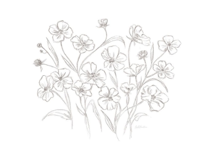 Picture of VINTAGE WILDFLOWER SKETCH