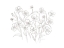 Picture of VINTAGE WILDFLOWER SKETCH