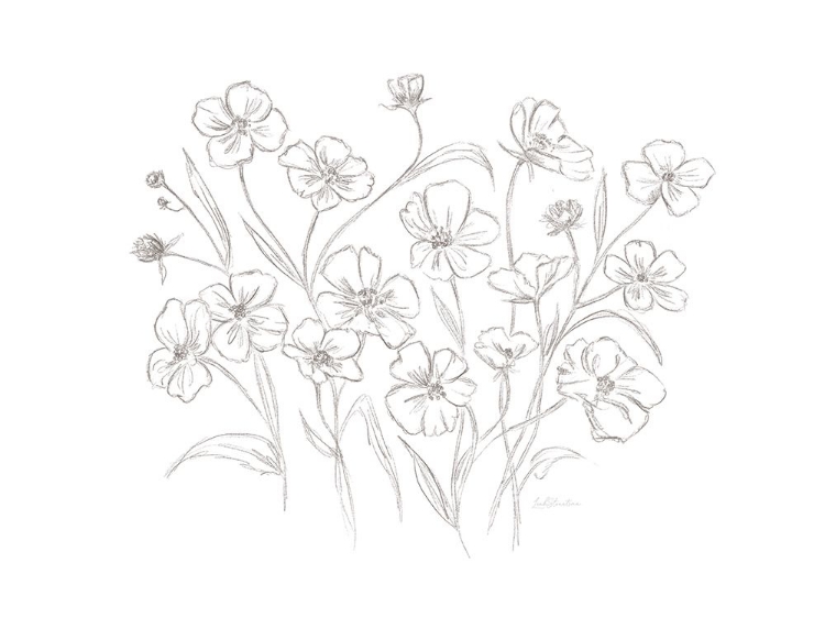 Picture of VINTAGE WILDFLOWER SKETCH