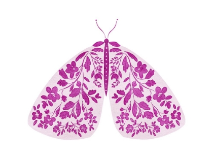 Picture of FLOURISHED PINK MOTH
