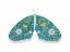 Picture of TEAL FLORAL MOTH 1