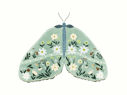 Picture of GREEN FLORAL MOTH 2