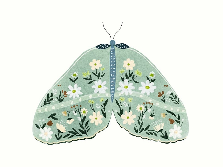 Picture of GREEN FLORAL MOTH 2