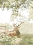 Picture of WHITE TAILED DEER