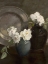Picture of PEONY STILL LIFE WITH PLATE