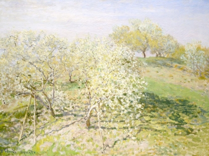 Picture of VINTAGE APPLE ORCHARD