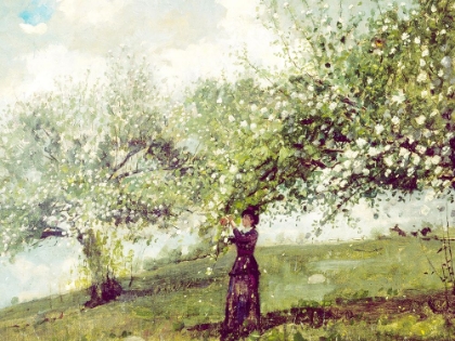 Picture of VINTAGE GATHERING BLOSSOMS