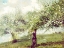 Picture of VINTAGE GATHERING BLOSSOMS
