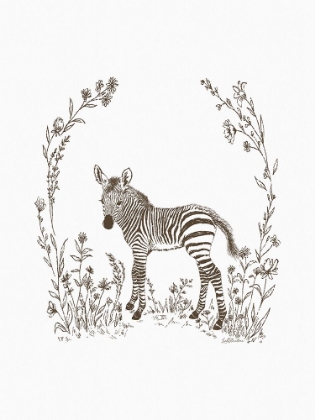Picture of SAFARI ZEBRA