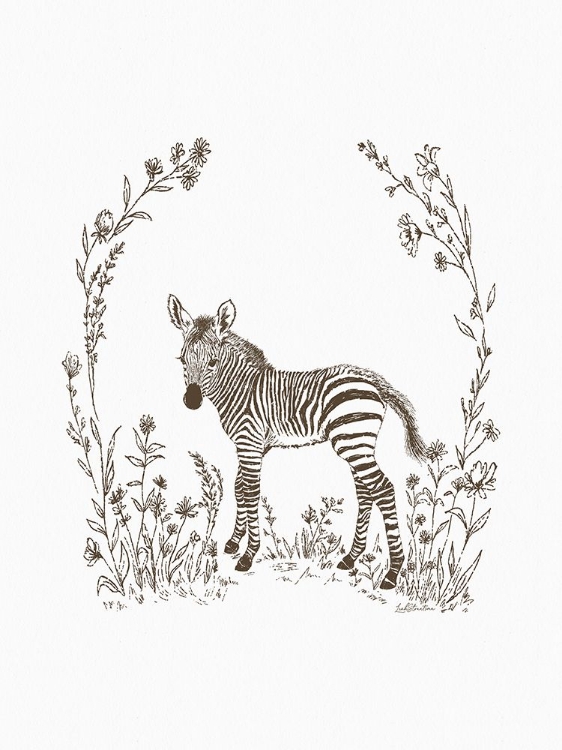 Picture of SAFARI ZEBRA