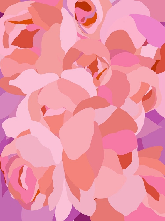 Picture of PEONY VIBRANT PINKS