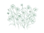 Picture of VINTAGE WILDFLOWER SKETCH