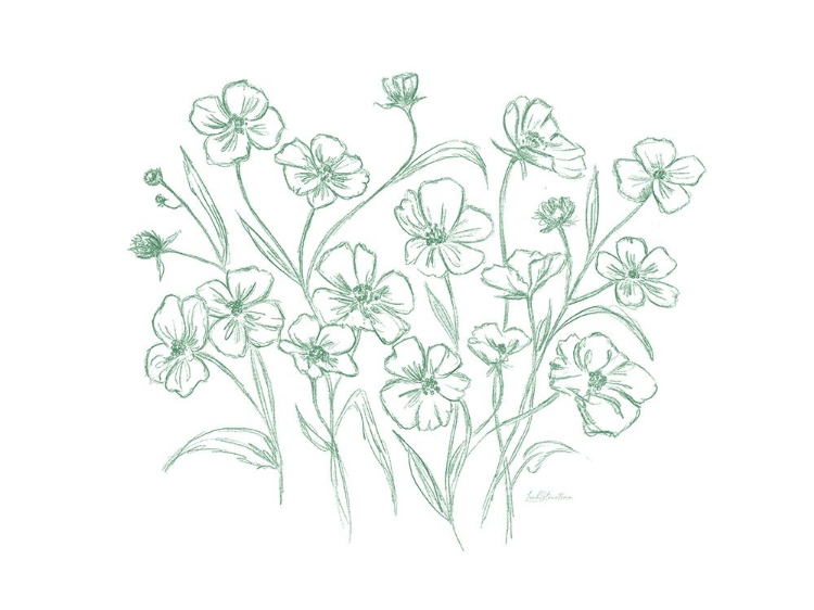 Picture of VINTAGE WILDFLOWER SKETCH