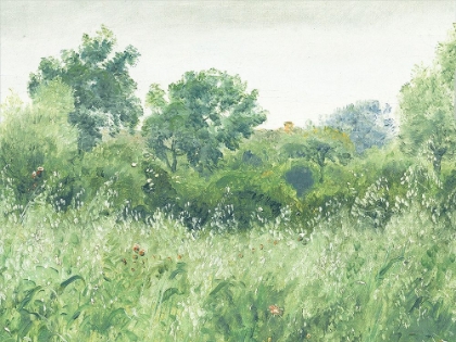 Picture of VINTAGE TREES AND FIELDS