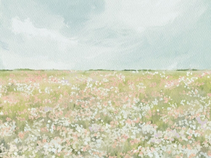 Picture of THE BUDDING FIELD