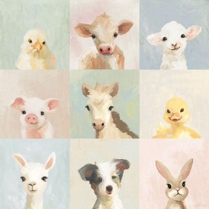Picture of BARN ANIMALS