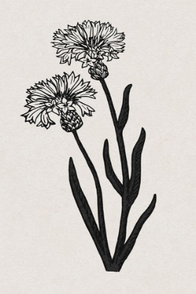 Picture of RURAL FLORALS V2